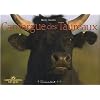 Camargue des Taureaux