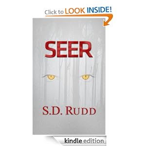 Seer - Collector's Edition (Hot New Christian Fiction Mystery Novel)