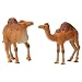 CAMEL (DROMEDARY) by Noah s Pals