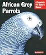 BARRONS AFRICAN GREY PARROTS