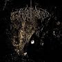 Wolves In The Throne Room