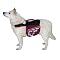 Dog Apparel