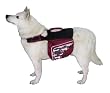 Kyjen Outward Hound Excursion Dog Backpack, Large, Colors Vary Kyjen Outward Hound Excursion Dog Backpack, Large, Colors Vary