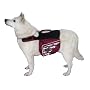 Kyjen Outward Hound Excursion Dog Backpack, Large, Colors Vary