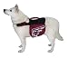 Outward Hound Excursion Dog Backpack, Medium