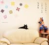 しゃべるねこ、しおちゃんの写真集