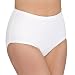 Apparel : Playtex Full-Figure Panties 4-pk. - White