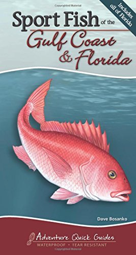 Sport Fish of the Gulf Coast & Florida (Adventure Quick Guides)