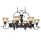 Golden Lighting 6029-PR62 EB 8 Light Jefferson Pot Rack, Etruscan