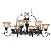 Golden Lighting 6029-PR62 EB 8 Light Jefferson Pot Rack, Etruscan