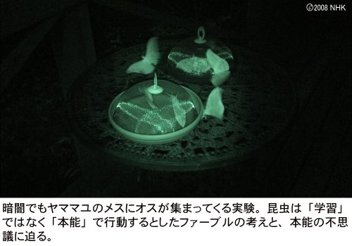 Cover image : ファーブル昆虫記 南仏・愛しき小宇宙 DVD-BOX