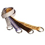 D-Ring Belt Image