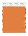 PANTONE SMART 16-1350X Color Swatch Card, Amberglow
