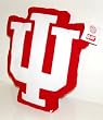 Indiana Hoosiers NCAA Mascot Pillow by Northwest