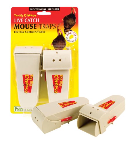 The Big Cheese - Live Catch Mouse Trap x 2