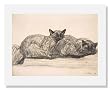 Th&eacute;ophile Alexandre Steinlen , Two Cats Sleeping