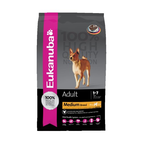 Eukanuba Adult Normale Aktivitaet