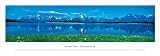 GRAND TETON NATIONAL PARK Panorama [Panoramic Photograph] Poster