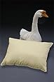 Travel Pillow with 700 Fill Power Goose Down