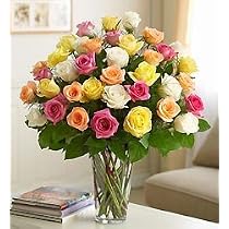 Flowers - Three Dozen Roses for Sympathy - Multicolored