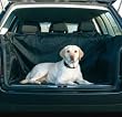 ford focus car seat covers