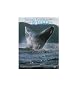 Jacques Cousteau, Whales