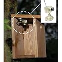 Nature Bird Watching Micro Wireless Camera/CCTV
