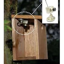 Nature Bird Watching Micro Wireless Camera/CCTV