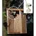 Nature Bird Watching Micro Wireless Camera/CCTV