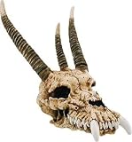 Large Dragon Skull