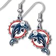 Miami Dolphins Dangle Earrings