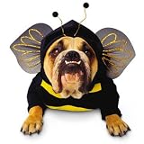 Bee Pet Costume