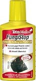 Tetra  754577 TetraMedica FungiStop 100 ml - Arzneimittel gegen Fischkrankheiten