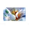 Visit This External Website