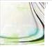 Light CourtでAmazonアフィリエイトツール
