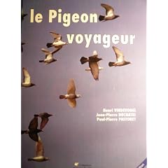 Le pigeon voyageur