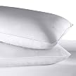 Mediflow Down Waterbase Pillow - White (20x28")