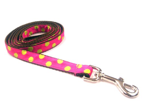 Medium Fuchsia/Lime Dot Dog Leash - Nylon Webbing: 3/4