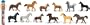 Safari Ltd Horses Toob