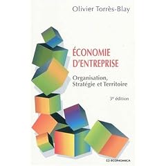 Economie d'entreprise : Organisation, strat�gie et territoire