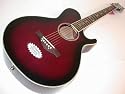 Daisy Rock WildWood Artist Deluxe Acoustic-Electric Royal Purple Burst Guitar