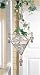 Dew Drop Plant Rooter