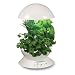 AeroGrow AeroGarden 3 with Gourmet Herbs