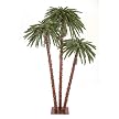 Pre-Lit Palm Tree Set (5-6-7')