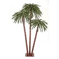 Pre-Lit Palm Tree Set (5-6-7')