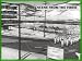 Search : Camp Hale: Army Cold Weather Training Center 1940s & 1950s
