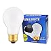 Bulbrite 100A 100-Watt 130-Volt Long Life Standard Incandescent A19 2-Pack, Frost
