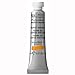 Winsor & Newton Professional Water Colour Paint, 0.17-oz Tube, Burnt Sienna