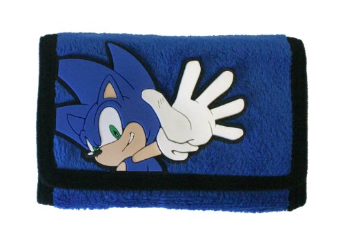 Nintendo DSi and DS Lite Sonic Wallet