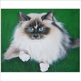 Beautiful Eye Painting - Bali Art - CraftNetwork - New